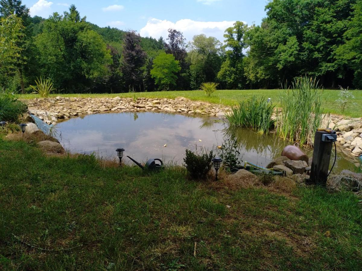 Chassenon Pierre Deluen Domaine De La Grange De Quaire Bed & Breakfast エクステリア 写真