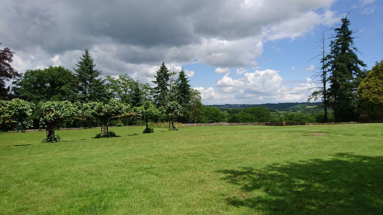 Chassenon Pierre Deluen Domaine De La Grange De Quaire Bed & Breakfast エクステリア 写真
