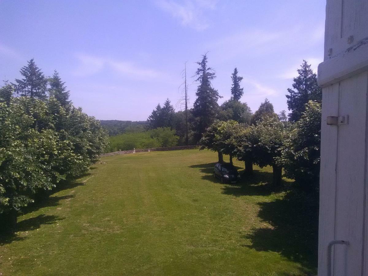 Chassenon Pierre Deluen Domaine De La Grange De Quaire Bed & Breakfast エクステリア 写真