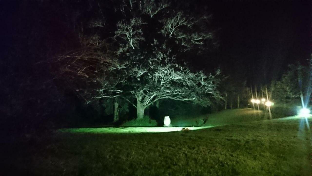 Chassenon Pierre Deluen Domaine De La Grange De Quaire Bed & Breakfast エクステリア 写真